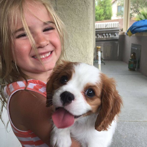 A young girl outdoors holding her Cavalier puppy, both smiling