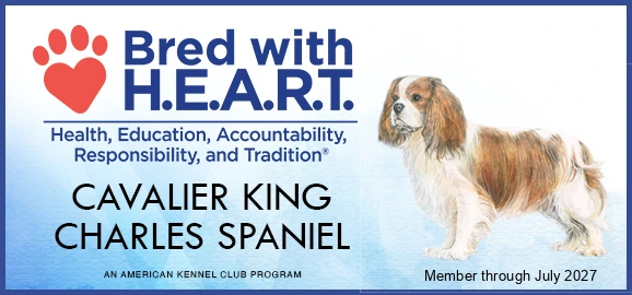 AKC Bred with H.E.A.R.T. program banner for the Cavalier King Charles Spaniel, member through July 2027
